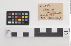 Etiketten zu Bronzegürtelblech (NHMW-PRAE-024065)